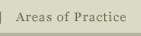 Areas of Practice